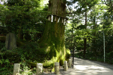 Takaosan: Your Gateway to Tokyo’s Natural and Cultural Treasures